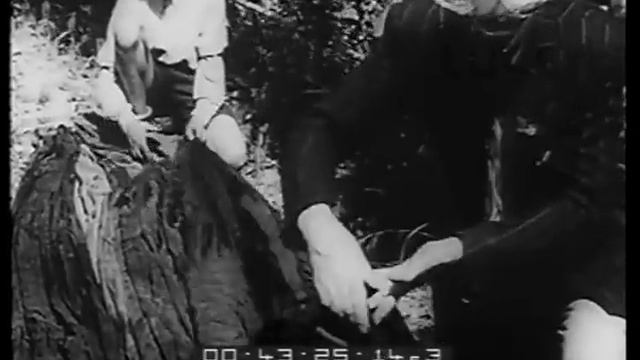 Italia Spoleto смотреть онлайн