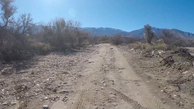 Tripp Canyon Road смотреть онлайн