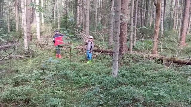 Поход с пацанами в лес. Много грибов. Гречка с тушëнкой на костре. 10.08.22 смотреть онлайн