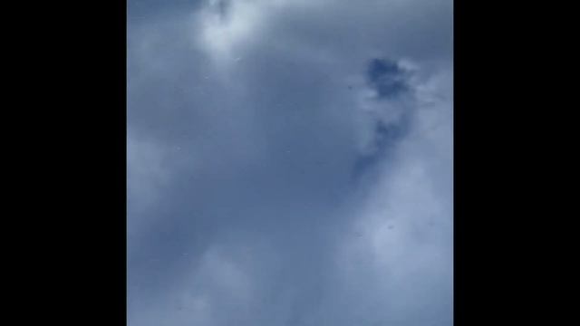 Mazda 3 BM vin и номер двигателя 1.6 л. Z6 104 л.с.