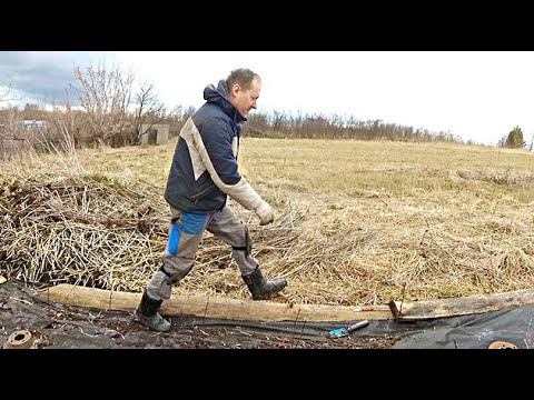 Сажаем живую изгородь и печём рыбу на мангале в град. смотреть онлайн