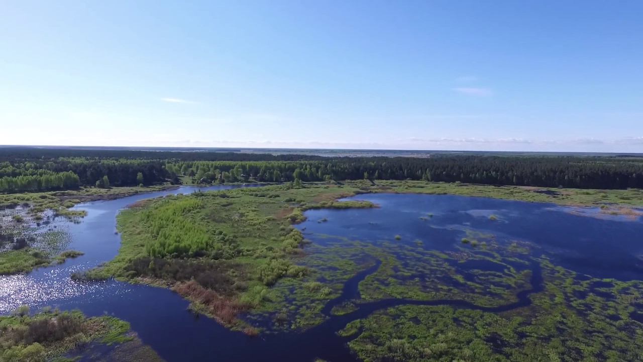 DJI 0078 смотреть онлайн