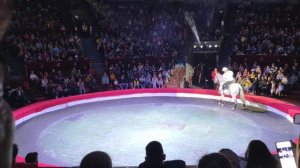 счастливый билет, цирк, Пермь