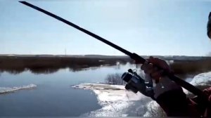 Рыбалка в половодье! Рыбалка на спиннинг весной!
