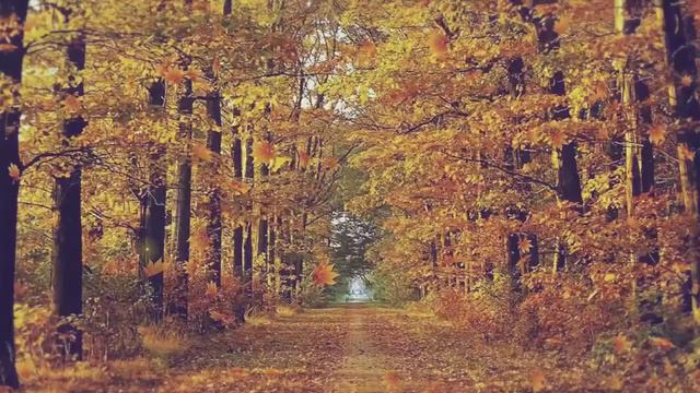 Одежда с подогревом, майка с обогревом WARMER WORLD смотреть онлайн