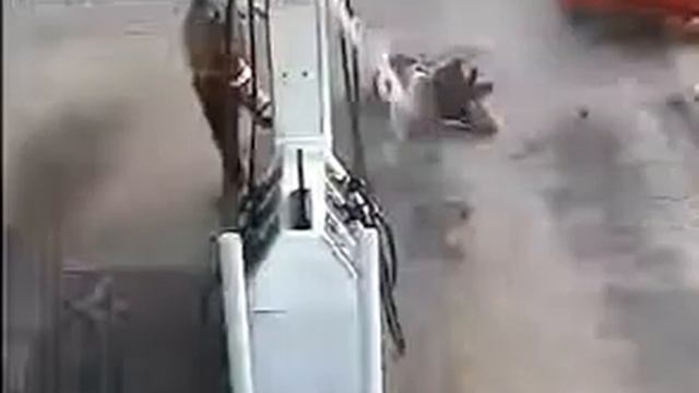 Petrol Steal Fail [Leaked] смотреть онлайн