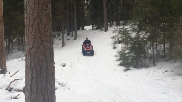 В лесу на TRX680 смотреть онлайн