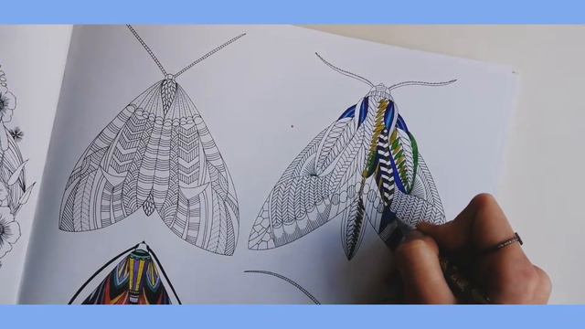 РАЗРИСОВУЮ 🦋 В АНТИСТРЕСС РАСКРАСКЕ||ХОЛОДНЫЕ ОТТЕНКИ| ОТКУДА ЭТОТ БЛОКНОТ? 💞 #антистресс#youtube смотреть онлайн