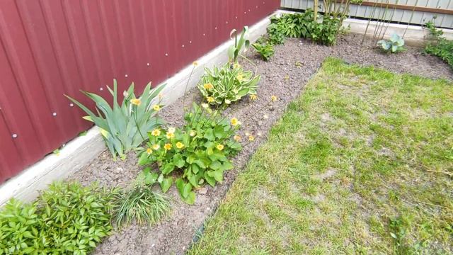 МАЙ - ДАЧА смотреть онлайн