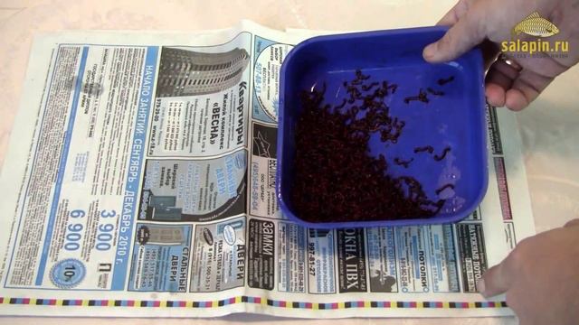 Пробивка крупного мотыля [salapinru] смотреть онлайн