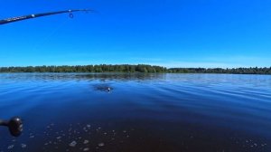 Рыбалка.Летняя рыбалка 2020.Душевная рыбалка на фидер и спиннинг на красивой речке)))