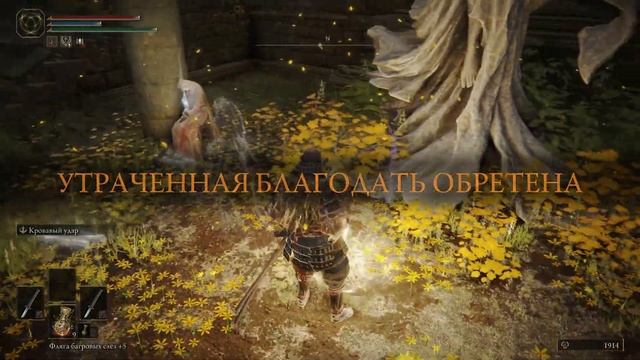ТОП1 ФАРМ РУН НА СТАРТЕ ИГРЫ, ELDEN RING [актуально в патче 1.09] смотреть онлайн