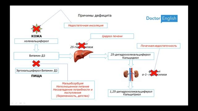 Воскресная пятиминутка 05: Жирорастворимые витамины смотреть онлайн