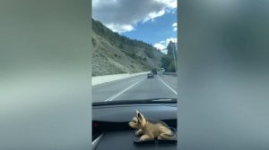 В Абхазию на машине из Москвы 2021 год ? ‼️ ? Опасный ⚠️ Duty Free ?