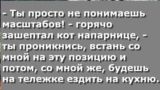 Чербелоидный подкаст #323 - Особы голубых кровей простые омлеты не едят смотреть онлайн