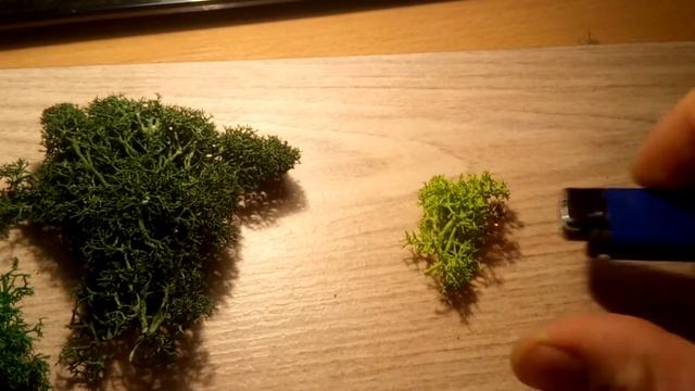 Стабилизированный мох, горит или нет? смотреть онлайн