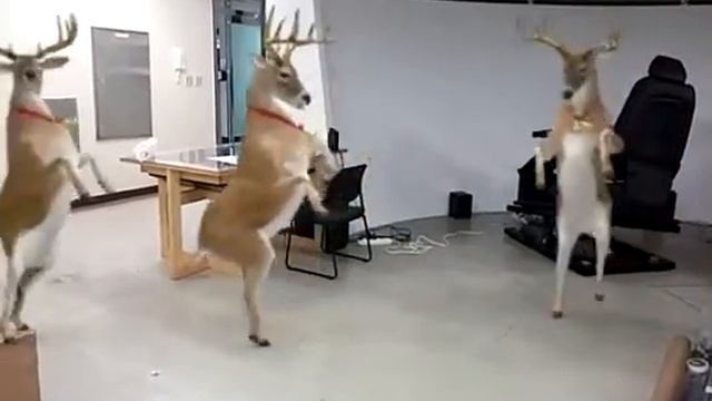 Олени christmas смотреть онлайн