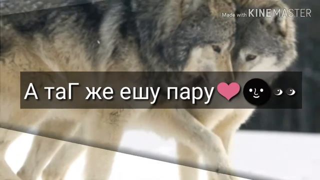 В видео в описании можно найти всё👀🌚💫 смотреть онлайн