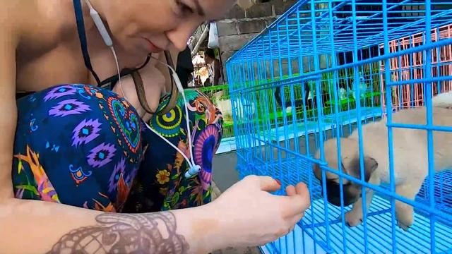 ОБЕЗЬЯНА ?? Покупаем ПОДАРОК на 10 МИЛЛИОНОВ для сестры Николь / Мама рассказала СЕКРЕТ кота смотреть онлайн