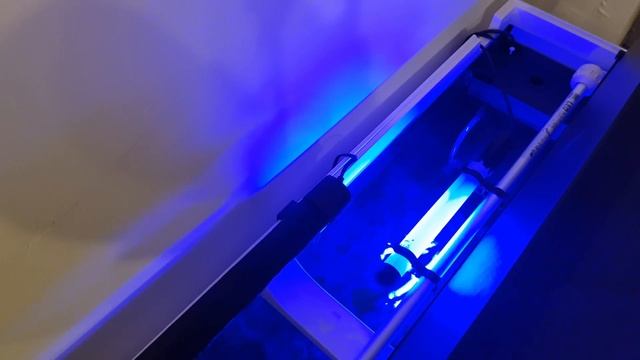 Test Aquael Leddy Tube 6W Actinic -Oświetlenie Nocne смотреть онлайн