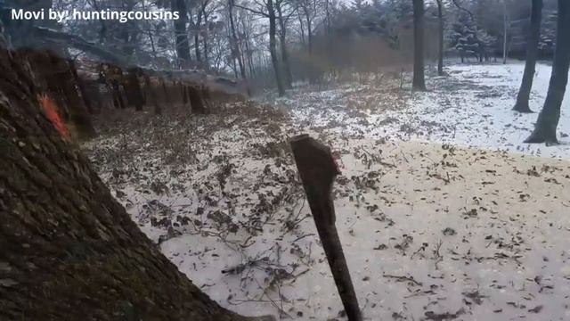 Wild Boar Hunting: Unforgettable Driven Hunt Moments смотреть онлайн