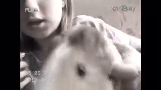 Новое животное! Знакомьтесь, это Нико! смотреть онлайн
