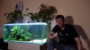 Убрал аргентинский эхинодорус из Острова