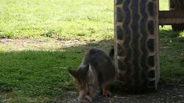 Olympus Sp-100, slow motion смотреть онлайн