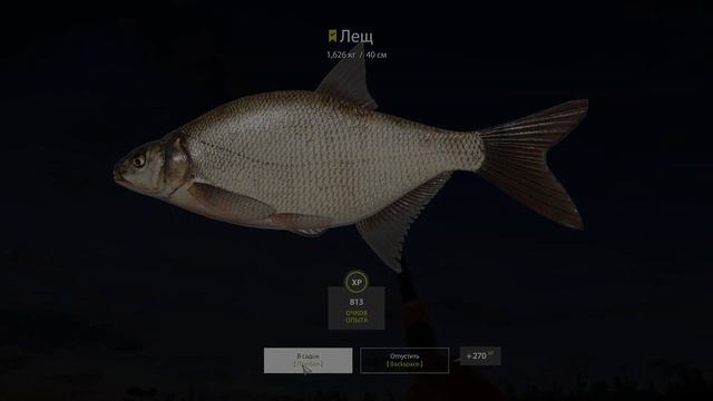 Самый стабильный фарм серебра в игре. Очень хороший фарм леща. Русская рыбалка 4. смотреть онлайн