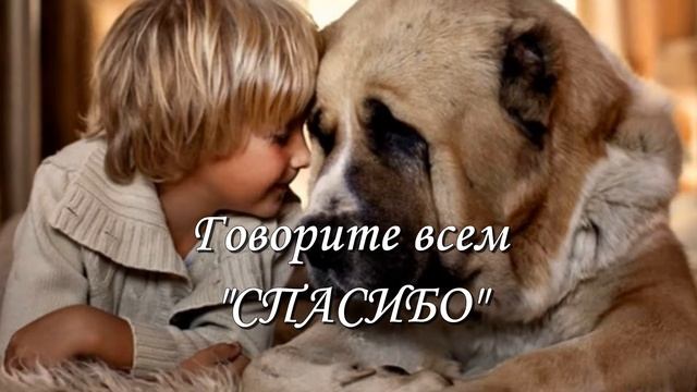 С МЕЖДУНАРОДНЫМ ДНЕМ СПАСИБО! СПАСИБО, ЗА ВСЕ!!! ОЧЕНЬ КРАСИВОЕ ПОЗДРАВЛЕНИЕ