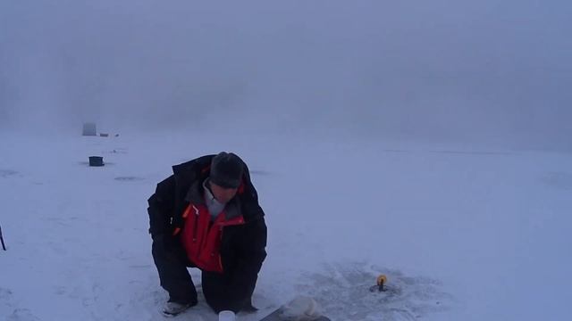Вечерняя рыбалка на налима на Енисее смотреть онлайн
