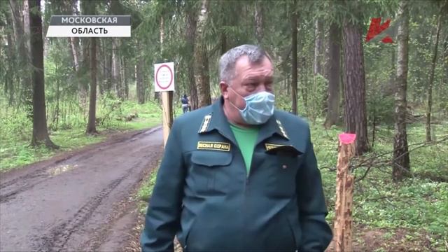 Защитим лес смотреть онлайн