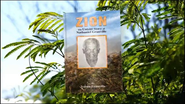 Zion Untold Story: Healing the sick! смотреть онлайн
