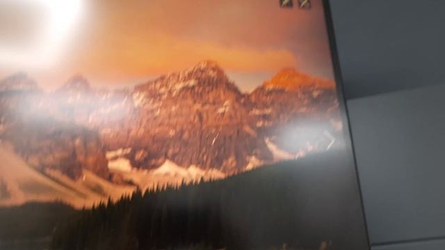 Видео №283254