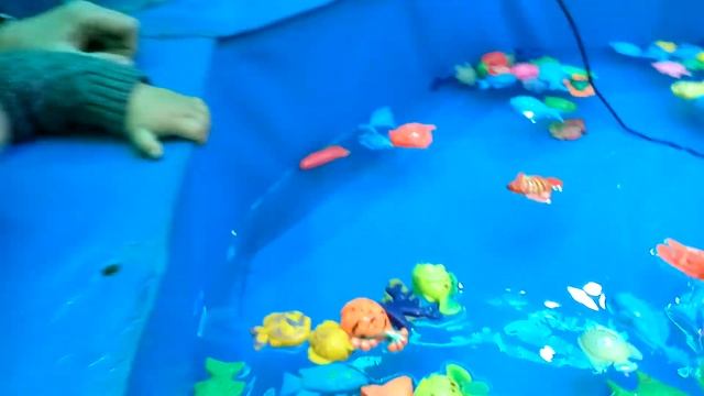 РАЗНОЦВЕТНЫЕ РЫБКИ В БАССЕЙНЕ,играем.