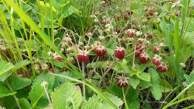 Отдыхайте, люди, чаще! смотреть онлайн