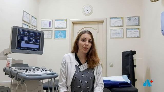 УЗИ брюшной полости для домашних животных смотреть онлайн