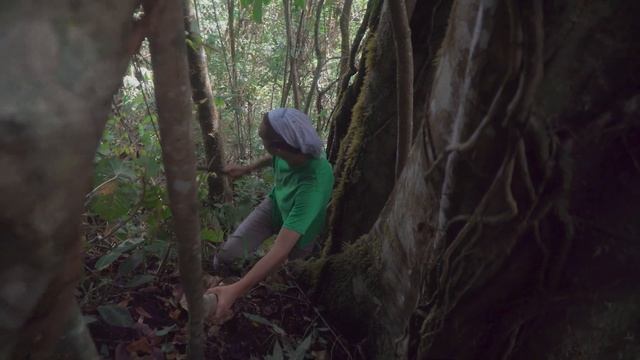 Hiking Cerro Chirripo