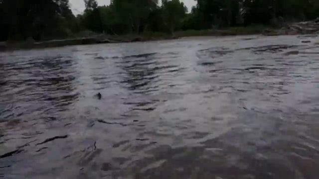 Сплав по реке Партизанская (Приморский край) смотреть онлайн