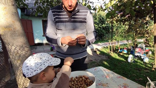 Лайф хак як швидко і легко очистити фундук (лісковий горіх) смотреть онлайн