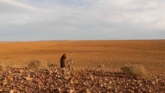 David O'Donnell - The Poets Silence смотреть онлайн