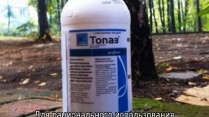 Топаз инструкция по применению для винограда
