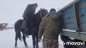 Обучение тяжеловоза