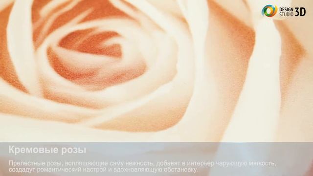3D фотообои "Кремовые розы" смотреть онлайн