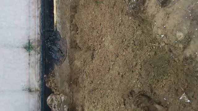 Монтаж Септика "Танк-1" с одним инфильтратором в г. Нижневартовск 17.09.2013 года при низком УГВ смотреть онлайн