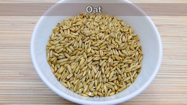 Oats Recipe For Babies | 7m+ | Baby Food Diary | Day 64 смотреть онлайн