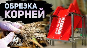 Машина для обрезки корней и стебля чеснока О-150