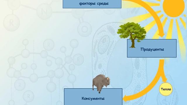 Биологический круговорот веществ в биосфере смотреть онлайн