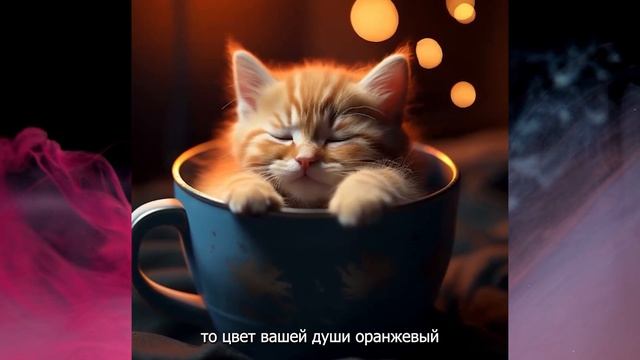 Выберите котенка и он подскажет какой цвет у вашей души смотреть онлайн