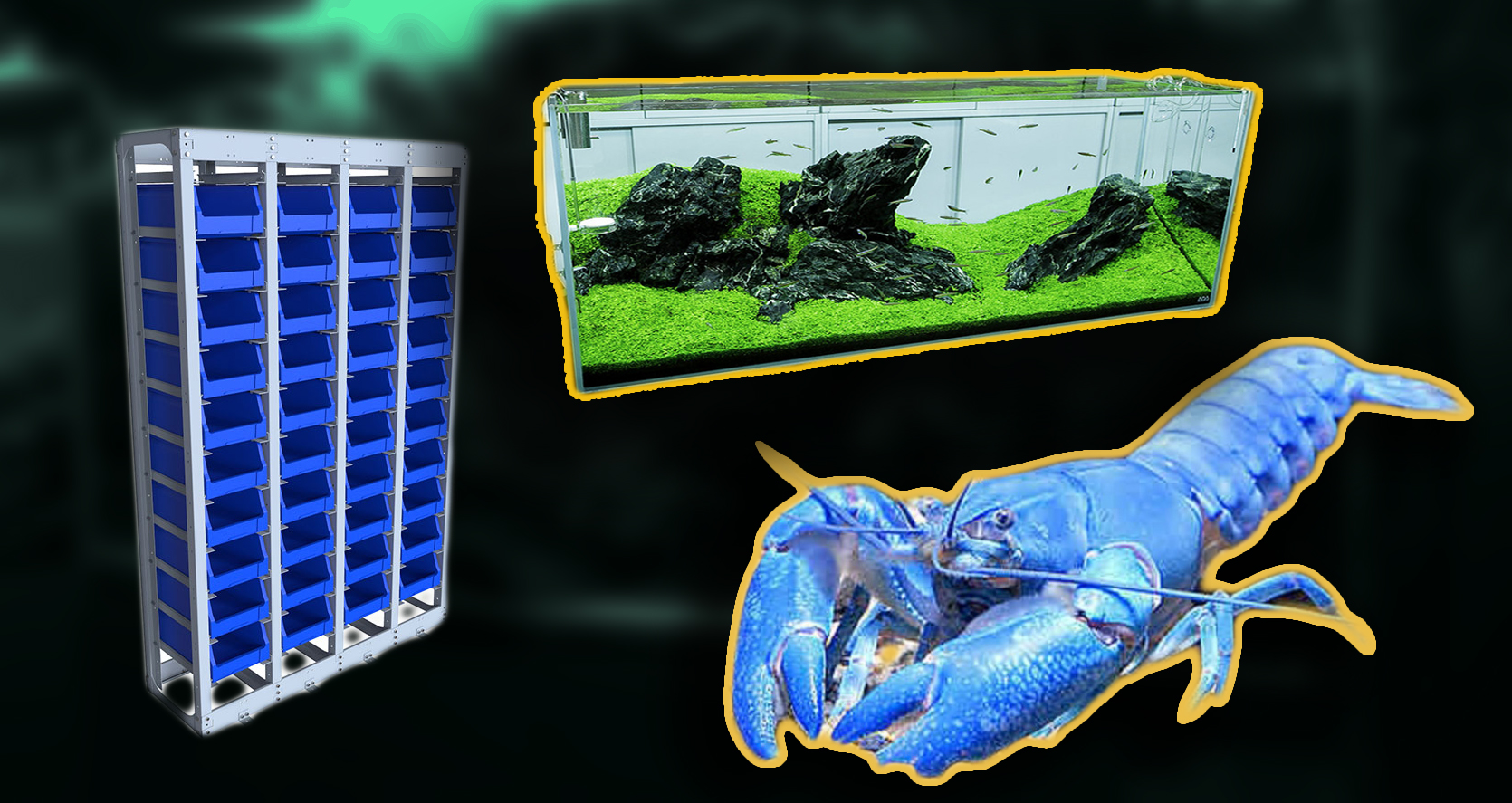 КАК СДЕЛАТЬ ДОМИК ДЛЯ РАКОВ СВОИМИ РУКАМИ! смотреть онлайн